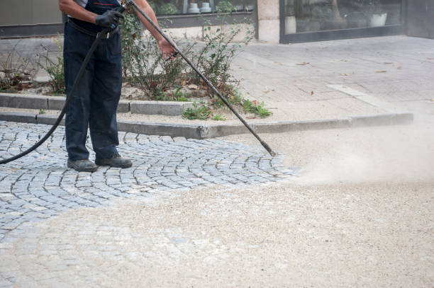 Animal Enclosure Cleaning in Colonial Heights, TN